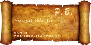 Pozsgai Béla névjegykártya